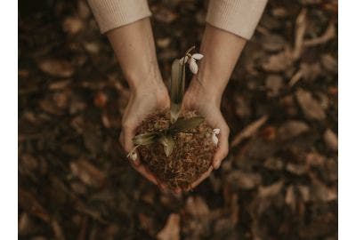 World Environment Day