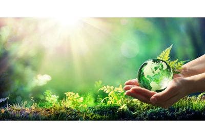 Hang on for a green world!