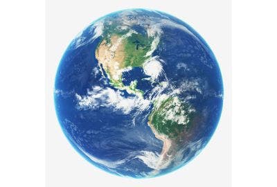 World Life Day, October 30th