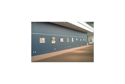 Wall Art Display Systems at a Convention Center