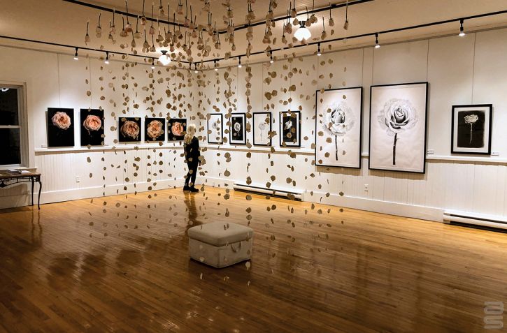 Gallery Hanging System – Flexible & Professional Art Exhibit Display