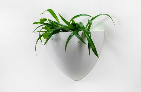 Hanging Plant Pot