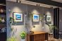 Display Reveal