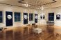Gallery Hanging System – Flexible & Professional Art Exhibit Display