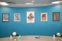 Commercial Picture Hanging Systems 