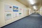 Modern Display – Tensioned System for Elegant Wall Presentation