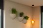 Hanging Plant Pot