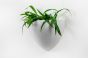 Hanging Plant Pot