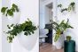 Hanging Plant Pot