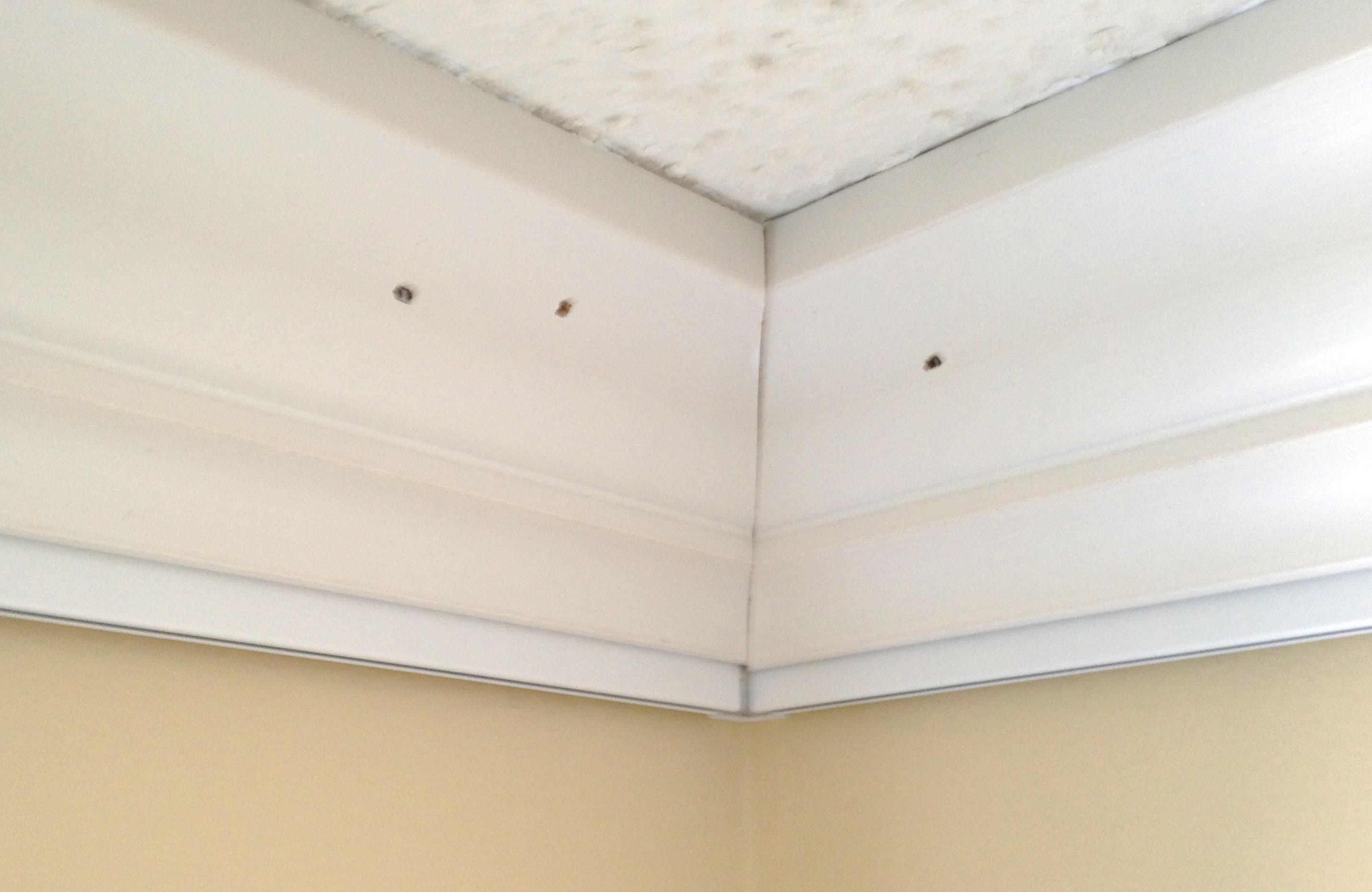Caulk holes and seams between crown molding and Click Rail Track by AS Hanging Systems to prevent cracking.