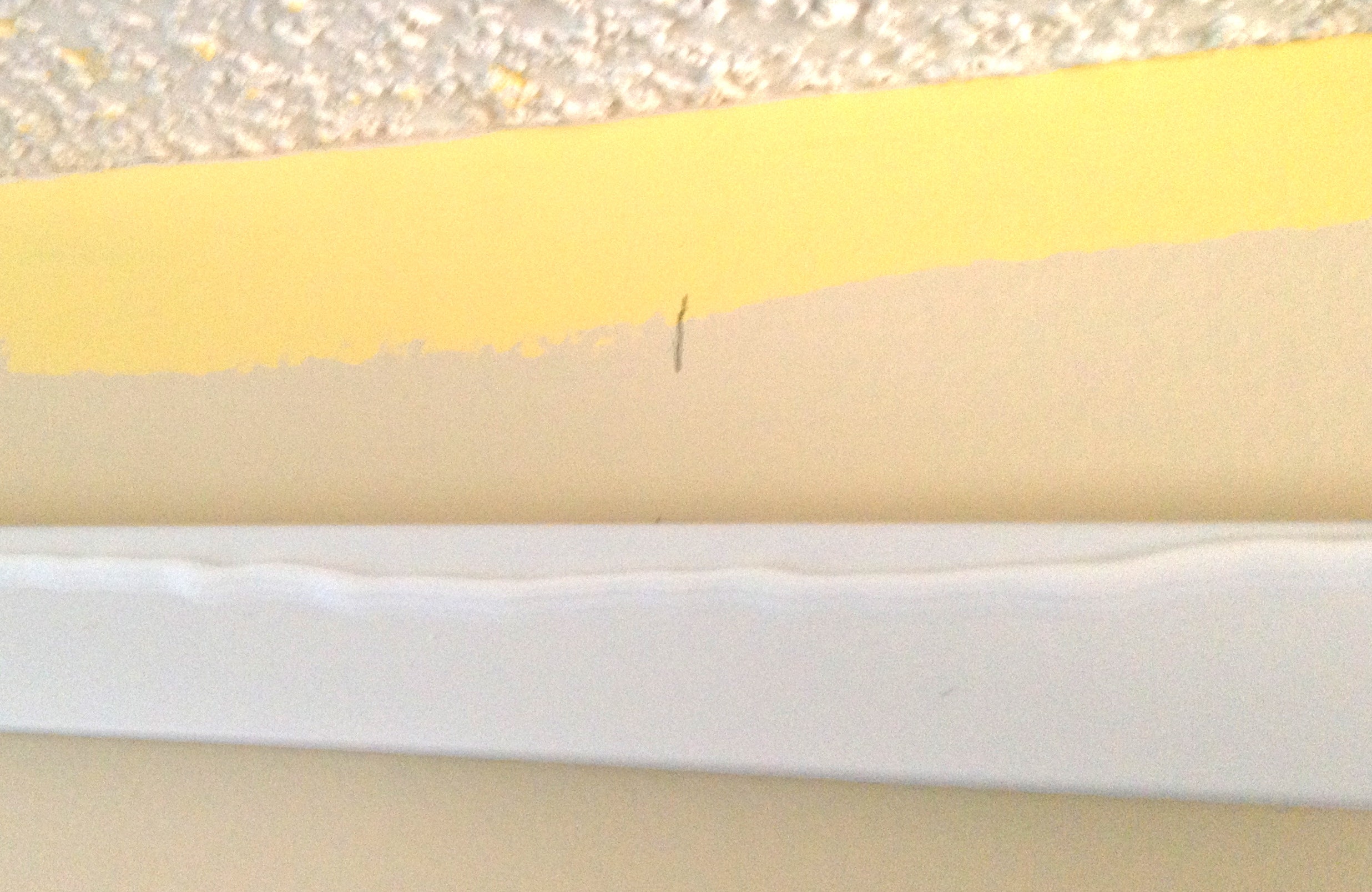 A bead of construction adhesive holds crown molding onto Click Rail Track by AS Hanging Systems.