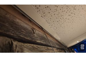 Drop Ceiling Track 01-08