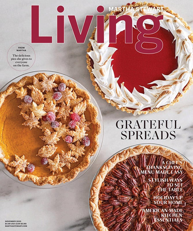 Cover of Martha Stewart Living Magazine November 2020 edition including a blog about AS Hanging Display Systems products.