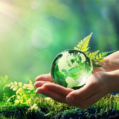 Hang on for a Green World