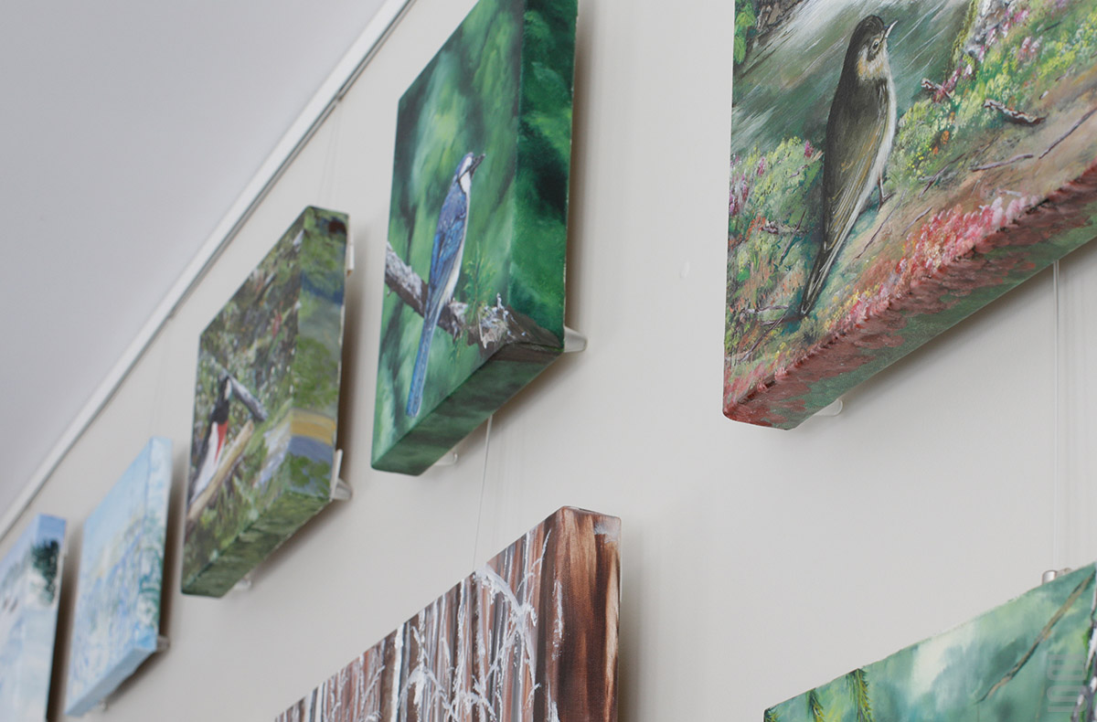 Counter Weight Stabilizers